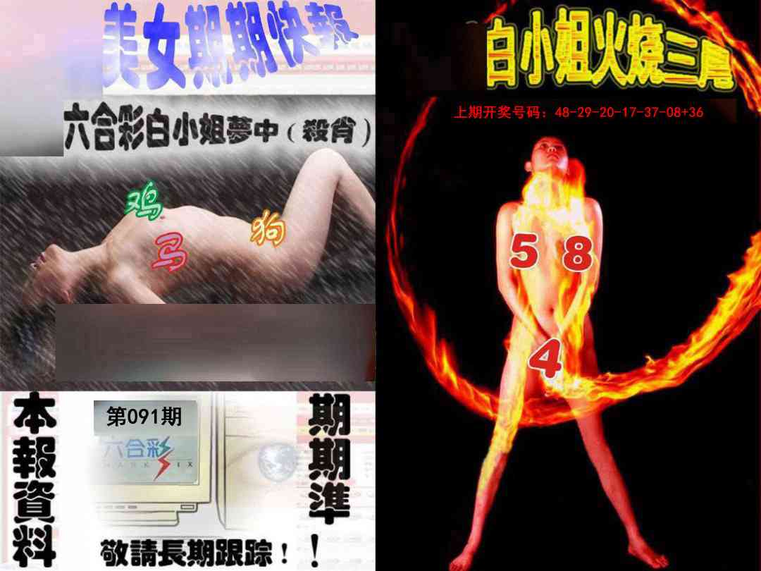091期环球美女特码报[图]